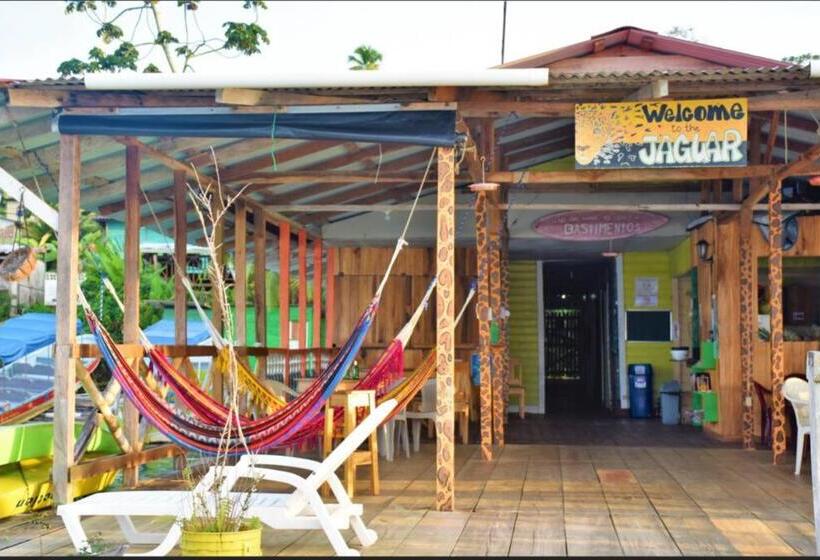 Общежитие El Jaguar