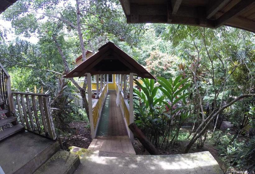 Общежитие Hostal Bastimentos