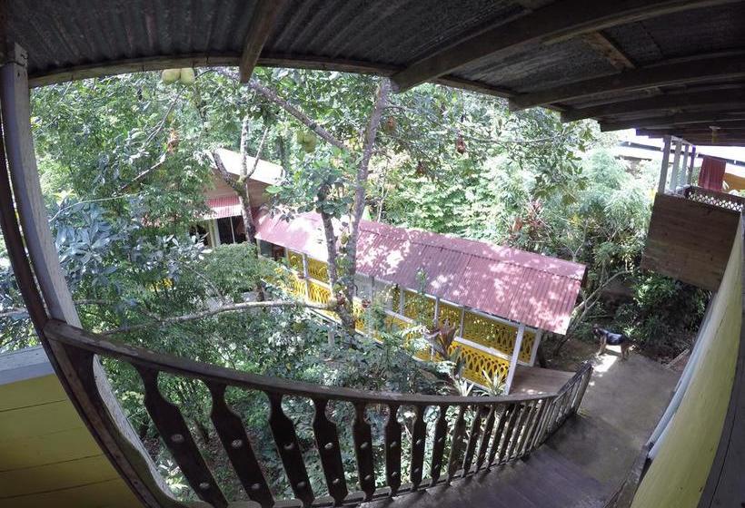 Общежитие Hostal Bastimentos