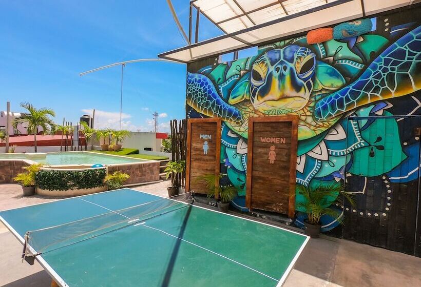 هاستل Izsla Suites