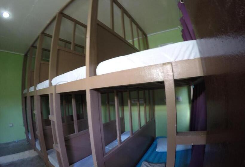 호스텔 Malapascua Budget Inn Mbi Dive Center