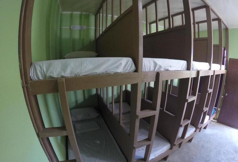 호스텔 Malapascua Budget Inn Mbi Dive Center