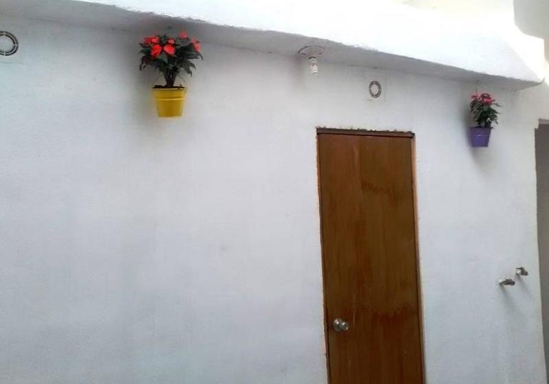 Amatle Cafe Organico & Hostel