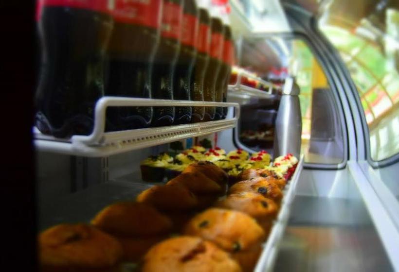 Amazing Celaya Hotel & Suites Business Class