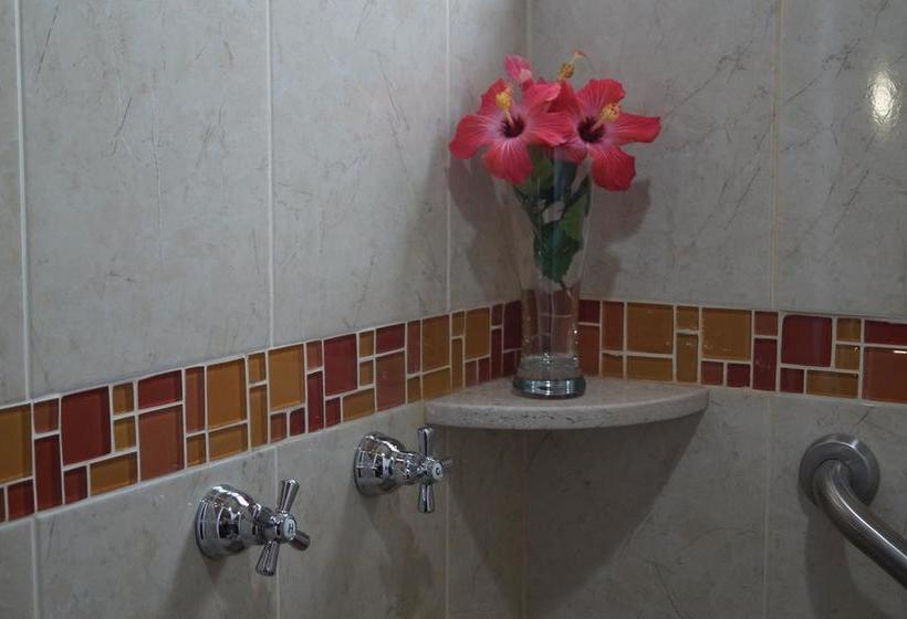 Amazing Celaya Hotel & Suites Business Class