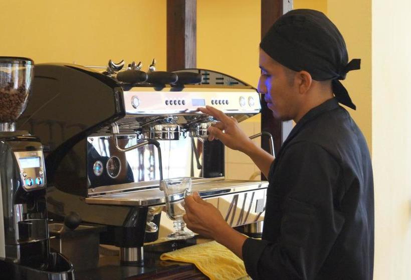 Amazing Celaya Hotel & Suites Business Class