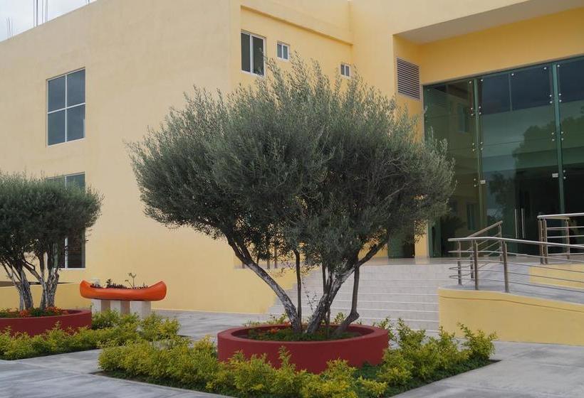 Amazing Celaya Hotel & Suites Business Class