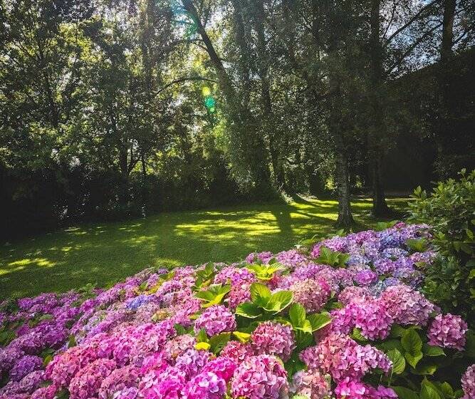 B Smart Hotel Widnau