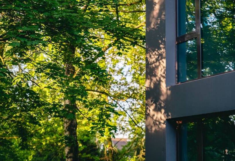 B Smart Hotel Widnau