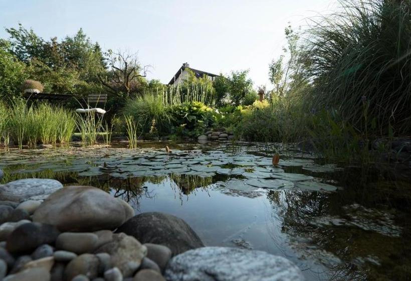 B&b Casa Scaletto Turgi