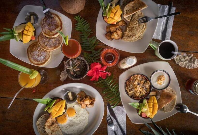 ベッドアンドブレックファースト Barrbra Bnb Over The Sea