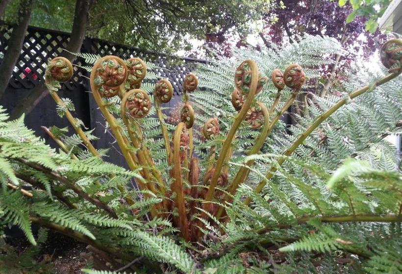 צימר Berni S Boutique Bnb