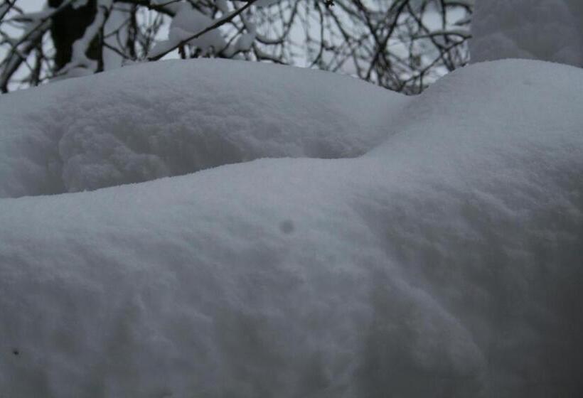 مبيت وإفطار Bnb Claudy Et Elizabeth Michellod Dutheil