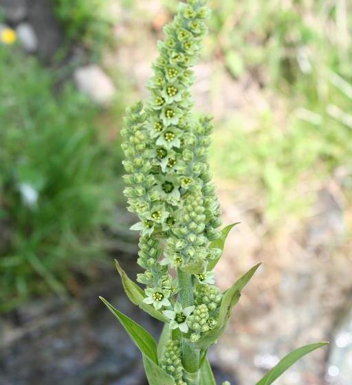 مبيت وإفطار Bnb Claudy Et Elizabeth Michellod Dutheil