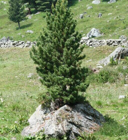 مبيت وإفطار Bnb Claudy Et Elizabeth Michellod Dutheil