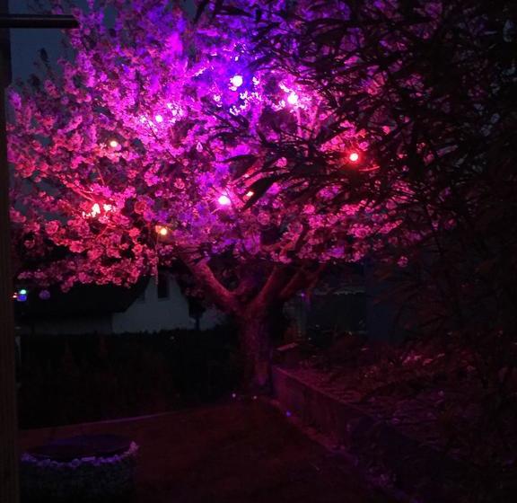 住宿加早餐  Chez Sven   Studio  Le Grand