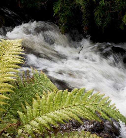 민박 Frankie & Hugh's