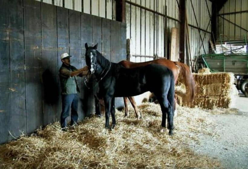 مبيت وإفطار Hôtel Gîte Rural à 3 Km De Delémont