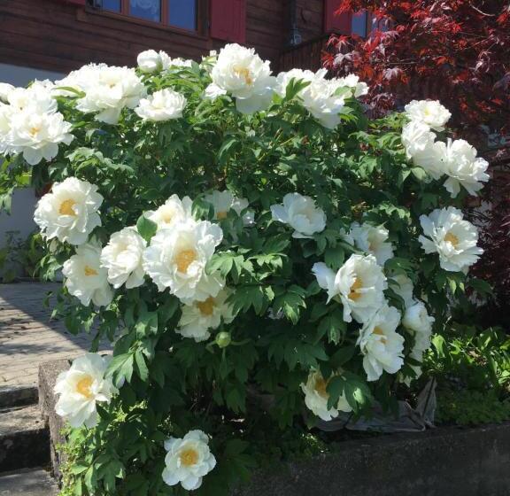 Bed and Breakfast La Bergerie Chalet Alice