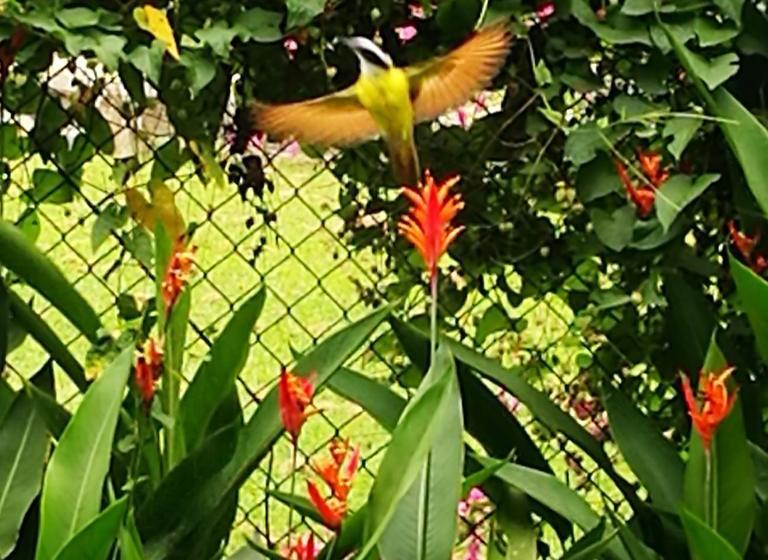 민박 La Perla De Farallon