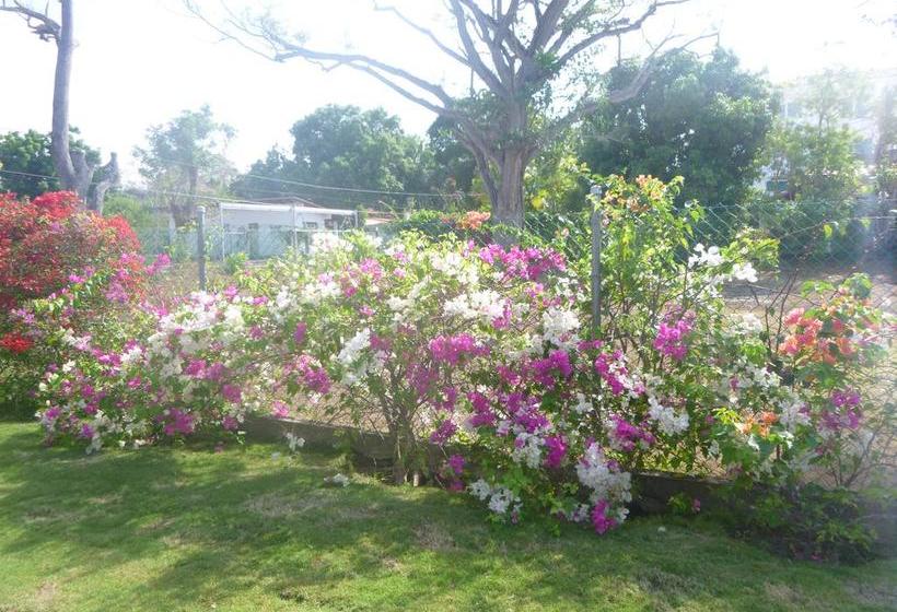 민박 La Perla De Farallon