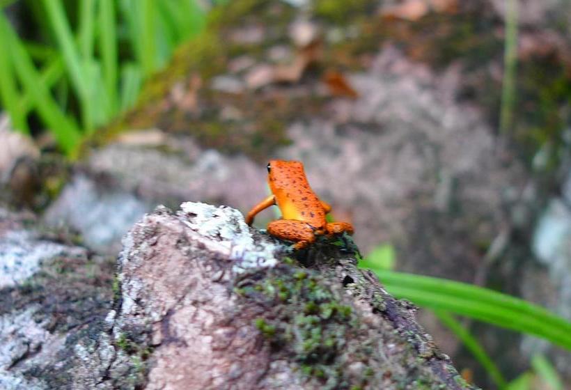 مبيت وإفطار Los Secretos Guesthouse