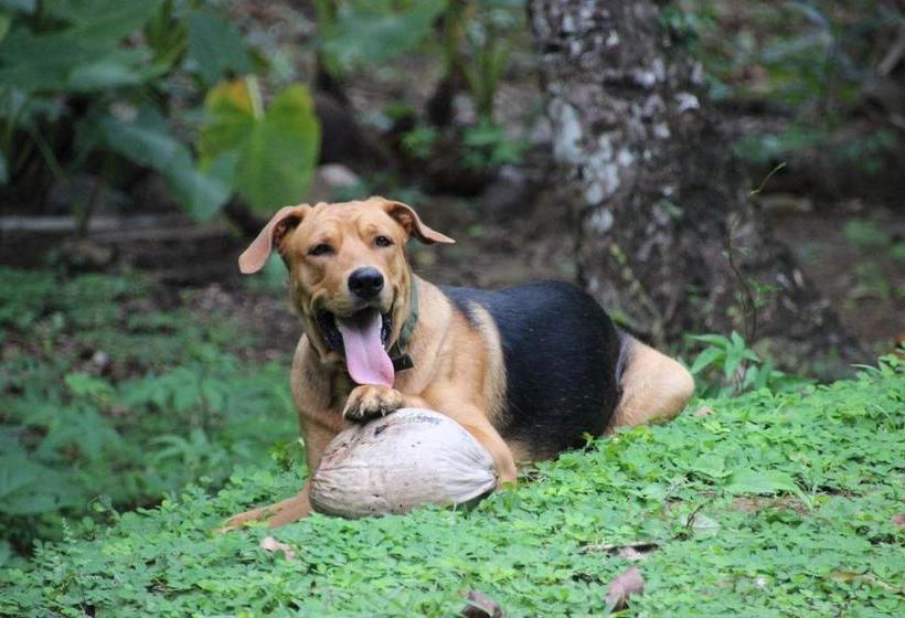 مبيت وإفطار Los Secretos Guesthouse