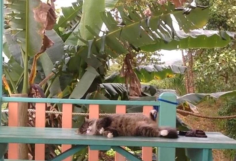 צימר Los Secretos Guesthouse