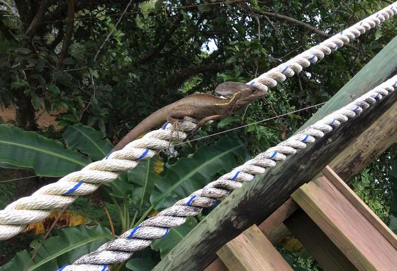 مبيت وإفطار Los Secretos Guesthouse