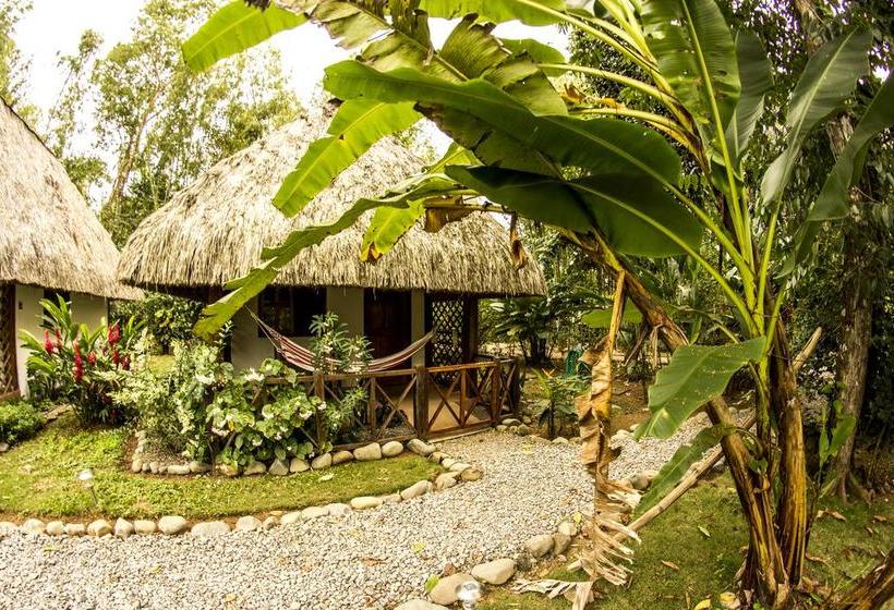 Bed and Breakfast Naturalmente Boutique Bungalows Y Cocina Mediterránea