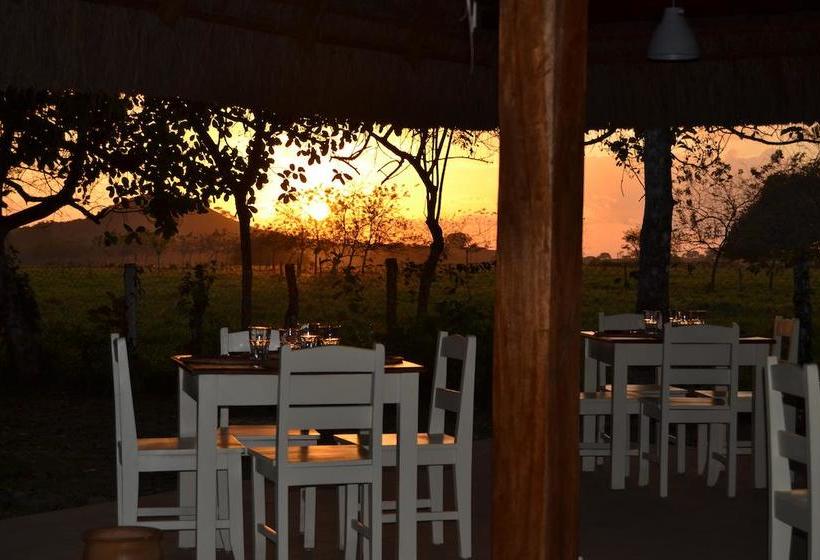 Bed and Breakfast Naturalmente Boutique Bungalows Y Cocina Mediterránea