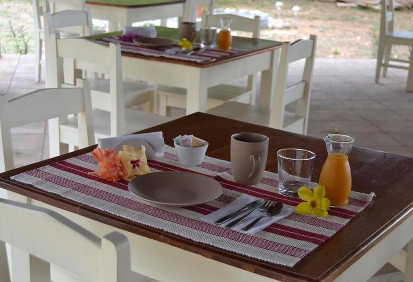 Bed and Breakfast Naturalmente Boutique Bungalows Y Cocina Mediterránea