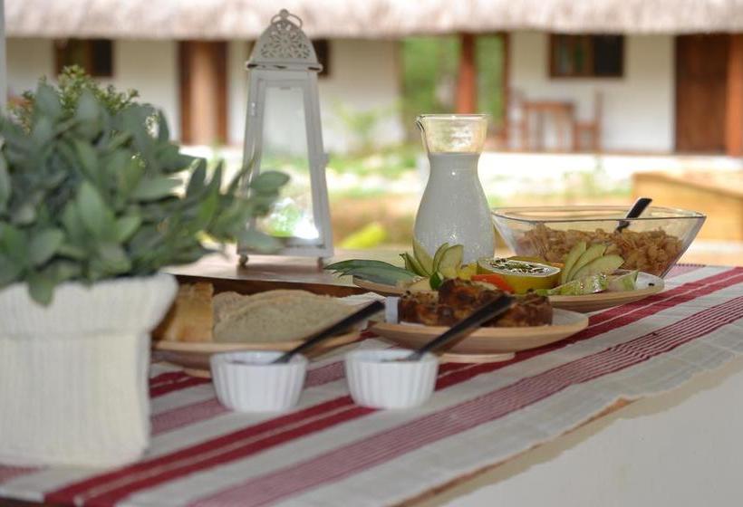 Bed and Breakfast Naturalmente Boutique Bungalows Y Cocina Mediterránea