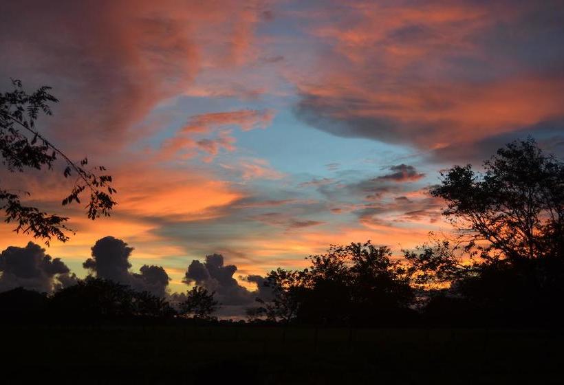 Bed and Breakfast Naturalmente Boutique Bungalows Y Cocina Mediterránea