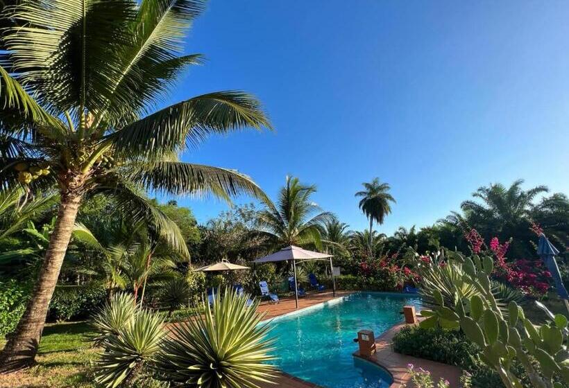 Bed and Breakfast Residence Las Lajas