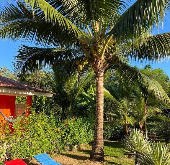 Bed and Breakfast Residence Las Lajas