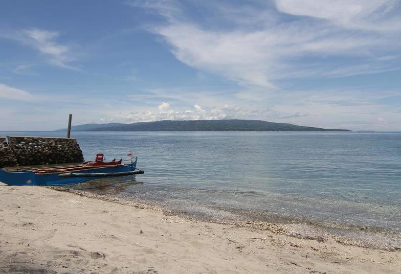 민박 The Wilsons Shangrila