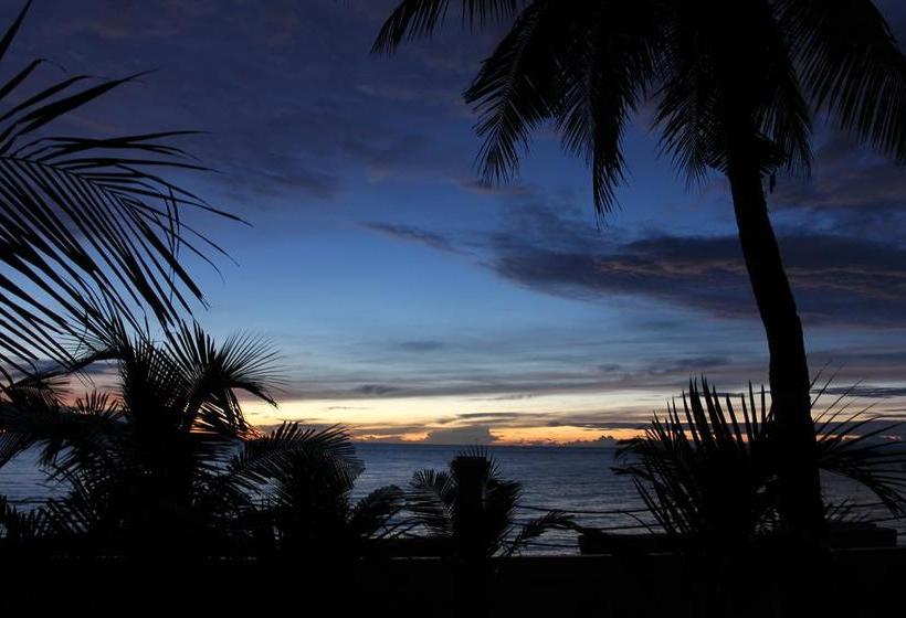 민박 The Wilsons Shangrila