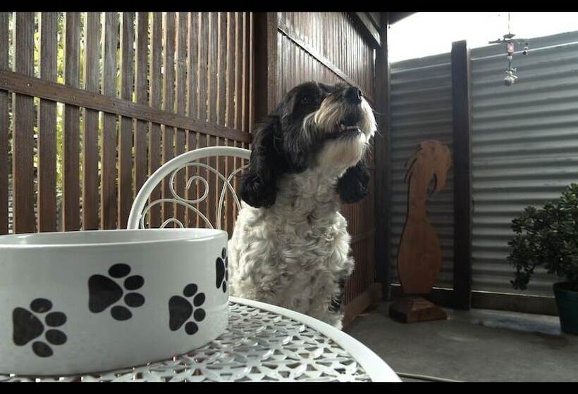 تختخواب و صبحانه Top Of The Town