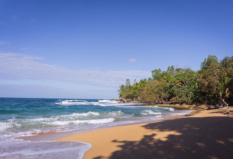 مبيت وإفطار Turtle Beach House