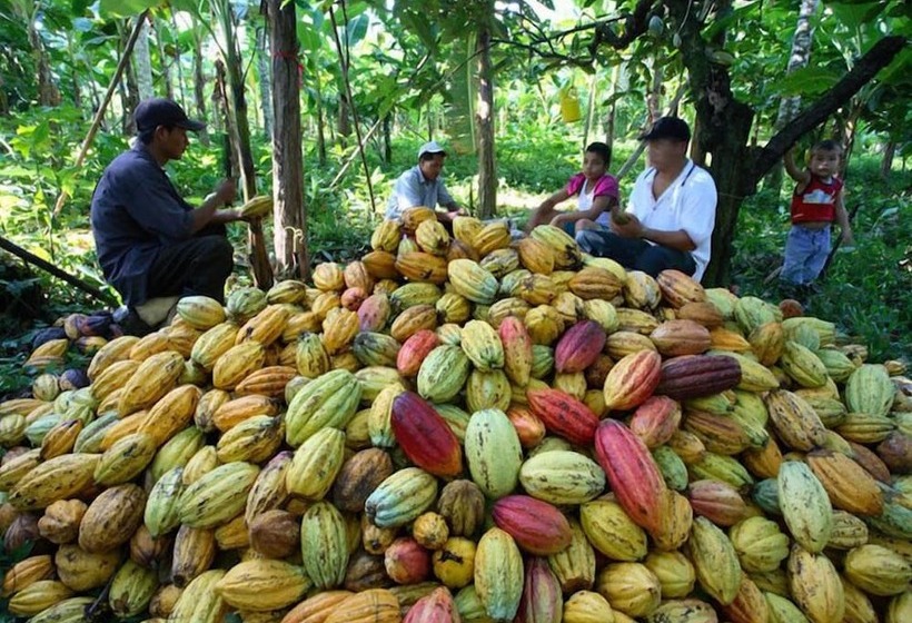 مبيت وإفطار Turtle Beach House