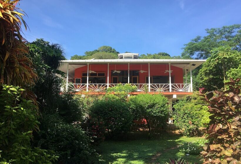 مبيت وإفطار Turtle Beach House