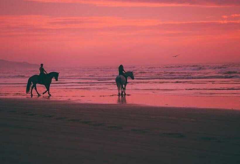 مبيت وإفطار Turtle Beach House