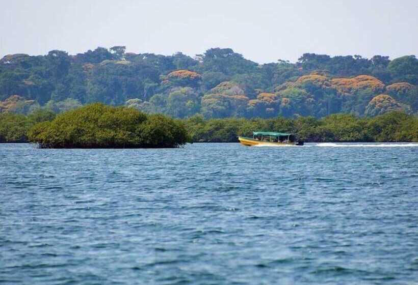 مبيت وإفطار Turtle Beach House