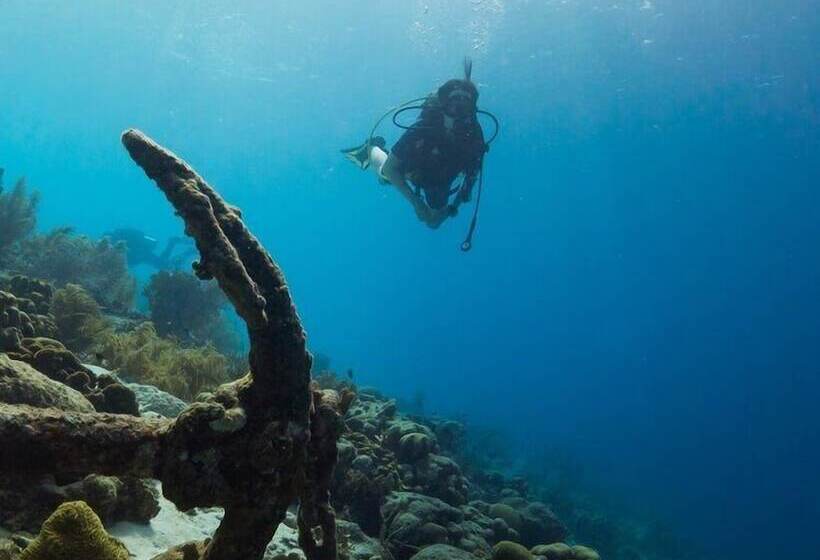 مبيت وإفطار Turtle Beach House