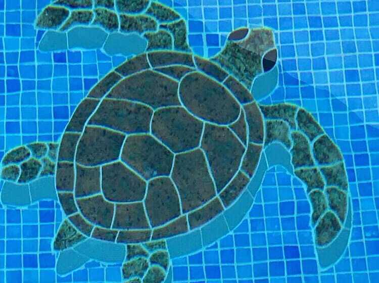 مبيت وإفطار Turtle Beach House