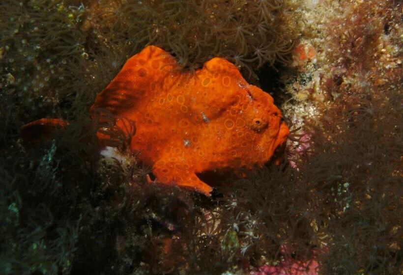 Bonita Oasis Beach Resort