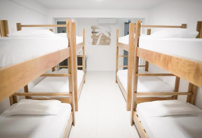 Downtown Hostel Chetumal