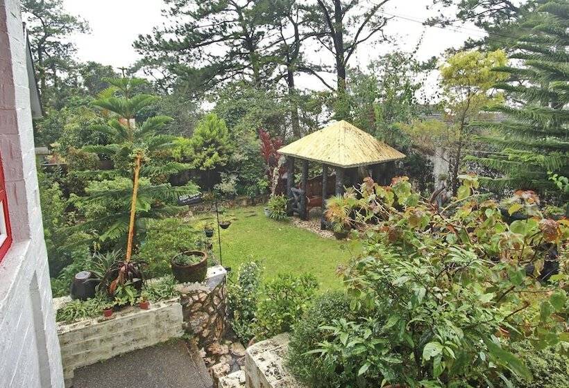 Guest Haven Chalet Baguio Bed And Breakfast