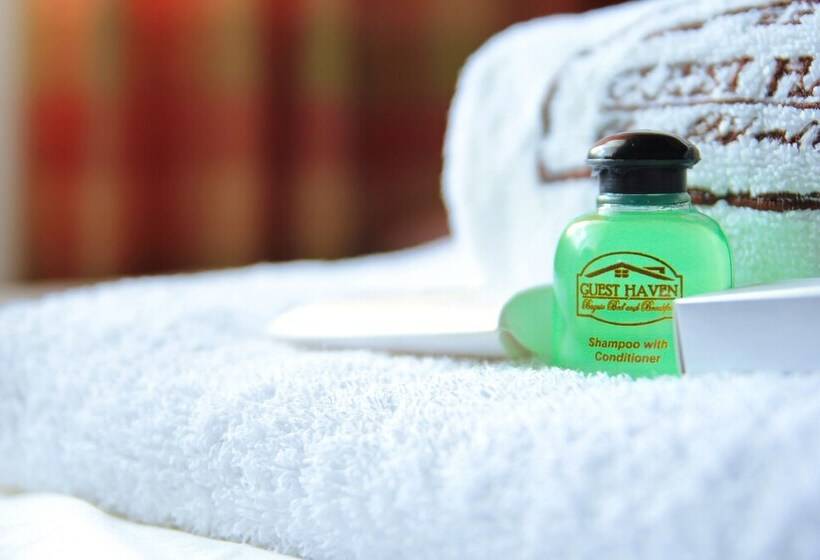 Guest Haven Chalet Baguio Bed And Breakfast